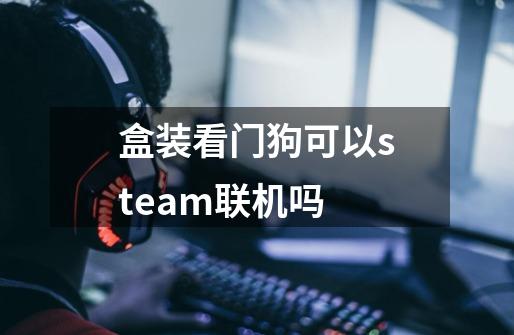 盒装看门狗可以steam联机吗-第1张-游戏资讯-智辉网络