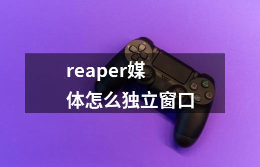 reaper媒体怎么独立窗口-第1张-游戏资讯-智辉网络