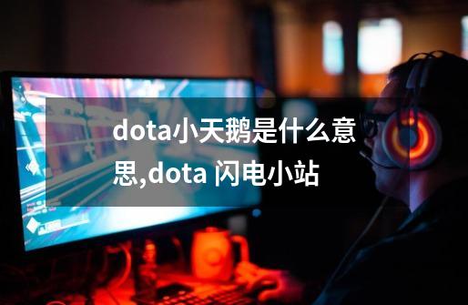 dota小天鹅是什么意思,dota 闪电小站-第1张-游戏资讯-智辉网络