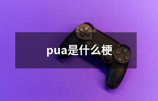 pua是什么梗-第1张-游戏资讯-智辉网络