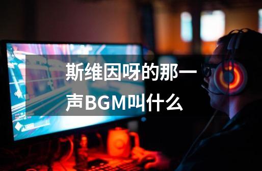 斯维因呀的那一声BGM叫什么-第1张-游戏资讯-智辉网络