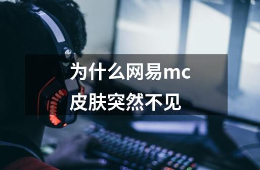 为什么网易mc皮肤突然不见-第1张-游戏资讯-智辉网络