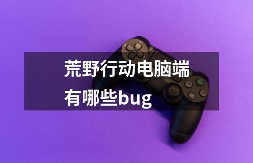 荒野行动电脑端有哪些bug-第1张-游戏资讯-智辉网络