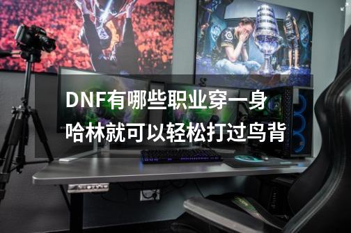 DNF有哪些职业穿一身哈林就可以轻松打过鸟背-第1张-游戏资讯-智辉网络