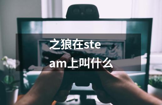 之狼在steam上叫什么-第1张-游戏资讯-智辉网络