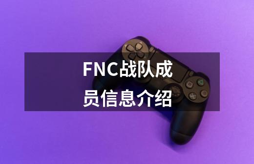 FNC战队成员信息介绍-第1张-游戏资讯-智辉网络