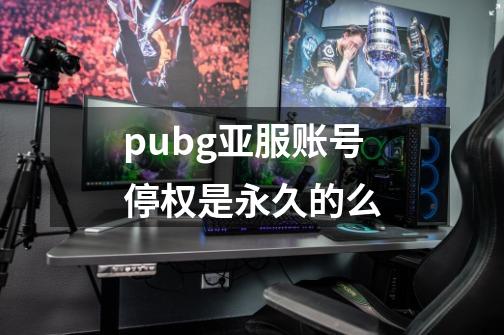 pubg亚服账号停权是永久的么-第1张-游戏资讯-智辉网络