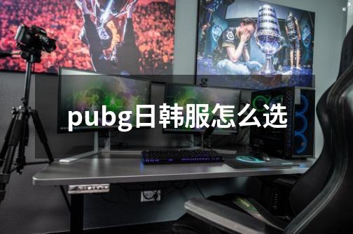 pubg日韩服怎么选-第1张-游戏资讯-智辉网络