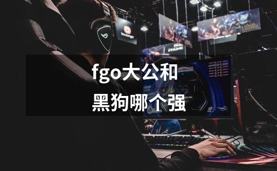 fgo大公和黑狗哪个强-第1张-游戏资讯-智辉网络