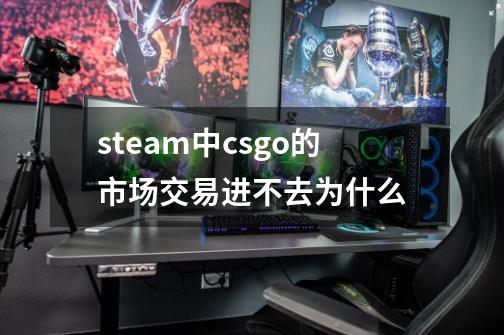 steam中csgo的市场交易进不去为什么-第1张-游戏资讯-智辉网络