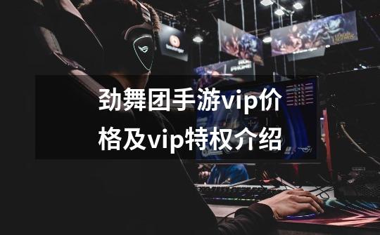 劲舞团手游vip价格及vip特权介绍-第1张-游戏资讯-智辉网络