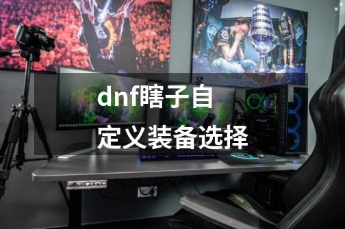 dnf瞎子自定义装备选择-第1张-游戏资讯-智辉网络