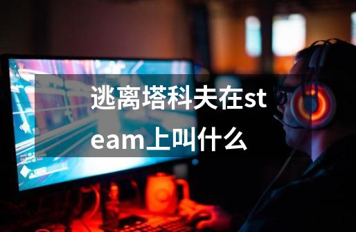 逃离塔科夫在steam上叫什么-第1张-游戏资讯-智辉网络