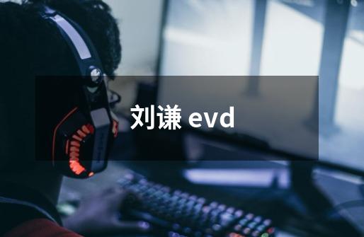 刘谦 evd-第1张-游戏资讯-智辉网络