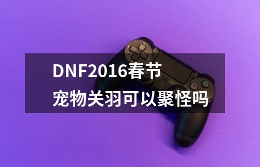 DNF2016春节宠物关羽可以聚怪吗-第1张-游戏资讯-智辉网络