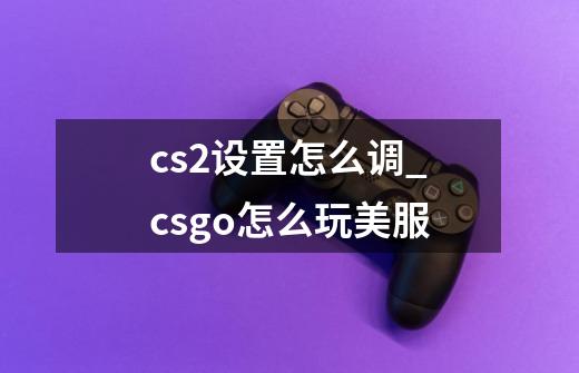 cs2设置怎么调_csgo怎么玩美服-第1张-游戏资讯-智辉网络