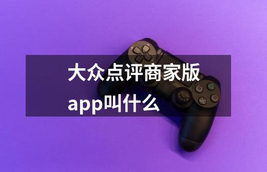 大众点评商家版app叫什么-第1张-游戏资讯-智辉网络