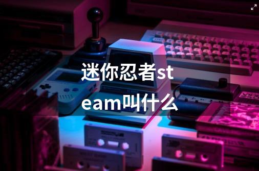 迷你忍者steam叫什么-第1张-游戏资讯-智辉网络