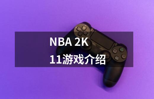 NBA 2K11游戏介绍-第1张-游戏资讯-智辉网络