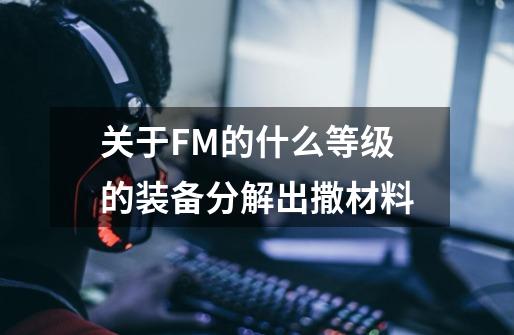 关于FM的..什么等级的装备分解出撒材料-第1张-游戏资讯-智辉网络