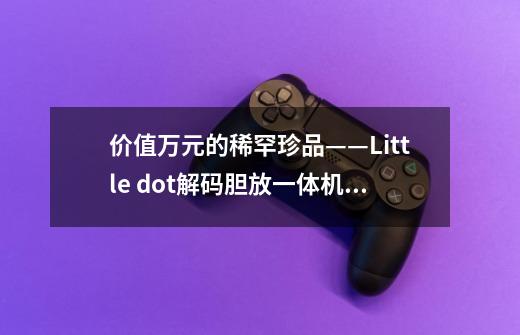 价值万元的稀罕珍品——Little dot解码胆放一体机你懂吗-第1张-游戏资讯-智辉网络