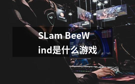 SLam BeeWind是什么游戏-第1张-游戏资讯-智辉网络