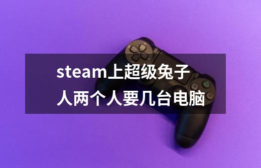 steam上超级兔子人两个人要几台电脑-第1张-游戏资讯-智辉网络