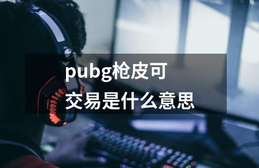 pubg枪皮可交易是什么意思-第1张-游戏资讯-智辉网络