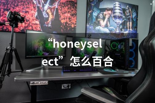 “honeyselect”怎么百合-第1张-游戏资讯-智辉网络