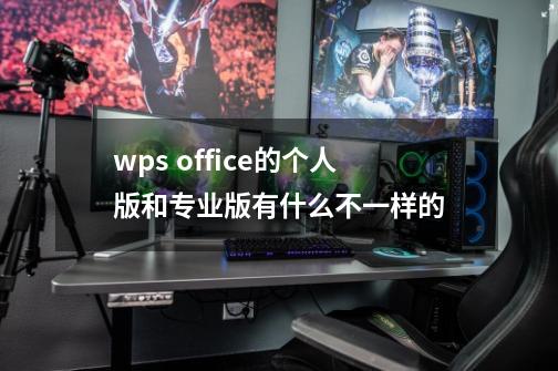 wps office的个人版和专业版有什么不一样的-第1张-游戏资讯-智辉网络