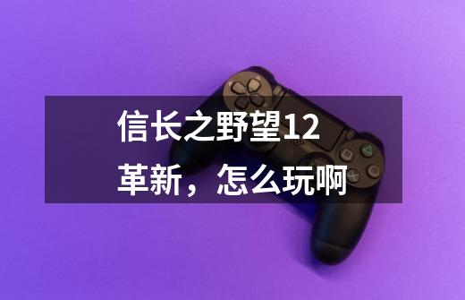 信长之野望12革新，怎么玩啊-第1张-游戏资讯-智辉网络