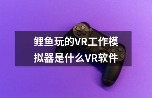 鲤鱼玩的VR工作模拟器是什么VR软件-第1张-游戏资讯-智辉网络