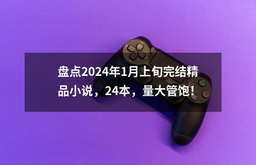 盘点2024年1月上旬完结精品小说，24本，量大管饱！-第1张-游戏资讯-智辉网络