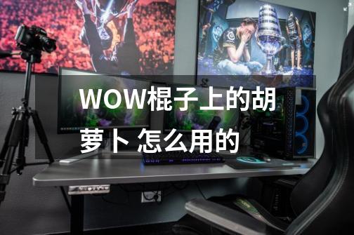 WOW棍子上的胡萝卜 怎么用的-第1张-游戏资讯-智辉网络