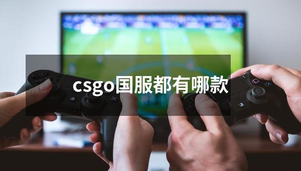 csgo国服都有哪款-第1张-游戏资讯-智辉网络