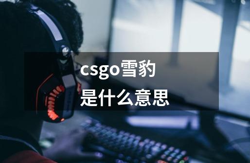 csgo雪豹是什么意思-第1张-游戏资讯-智辉网络