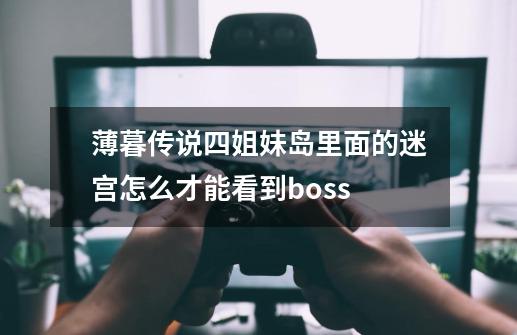 薄暮传说四姐妹岛里面的迷宫怎么才能看到boss-第1张-游戏资讯-智辉网络