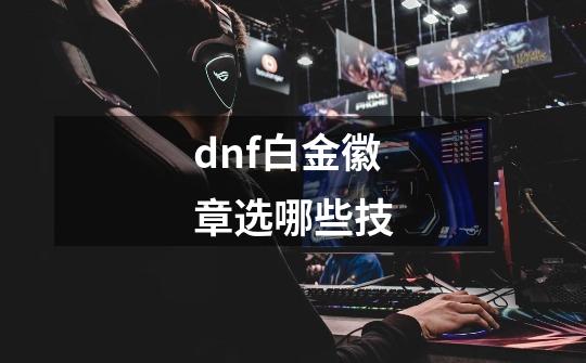 dnf白金徽章选哪些技-第1张-游戏资讯-智辉网络