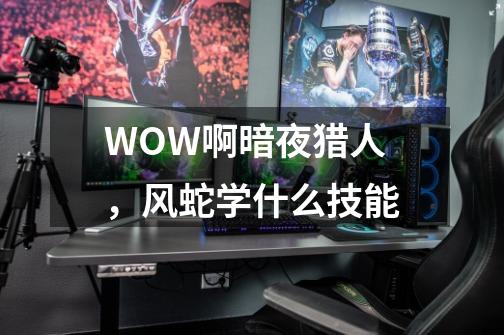 WOW啊暗夜猎人，风蛇学什么技能-第1张-游戏资讯-智辉网络