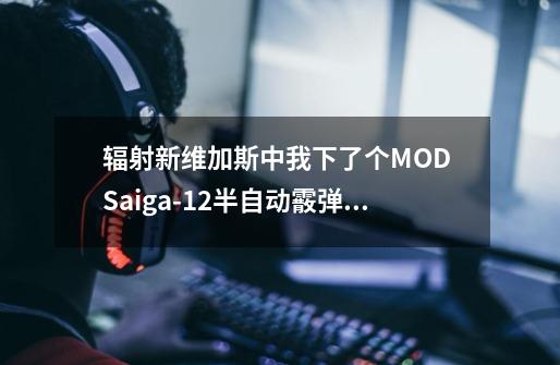 辐射新维加斯中我下了个MOD Saiga-12半自动霰弹枪 代码是多少-第1张-游戏资讯-智辉网络