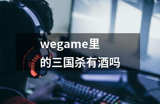 wegame里的三国杀有酒吗-第1张-游戏资讯-智辉网络