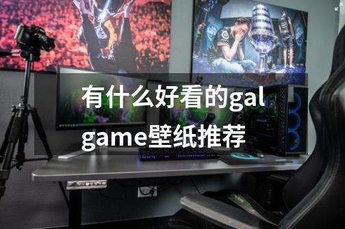 有什么好看的galgame壁纸推荐-第1张-游戏资讯-智辉网络