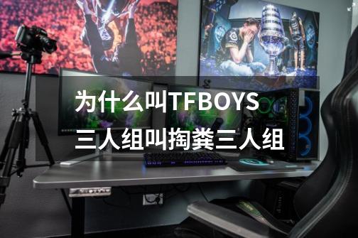 为什么叫TFBOYS三人组叫掏粪三人组-第1张-游戏资讯-智辉网络