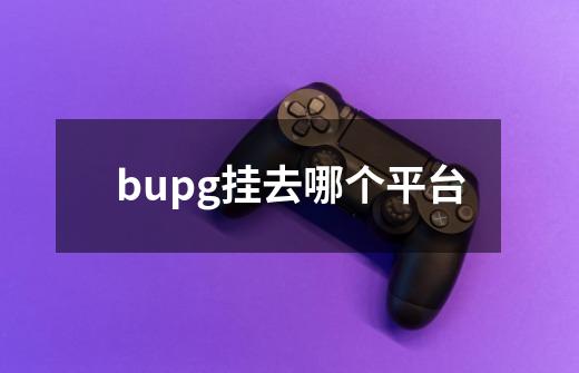 bupg挂去哪个平台-第1张-游戏资讯-智辉网络