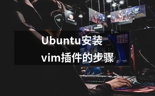 Ubuntu安装vim插件的步骤-第1张-游戏资讯-智辉网络