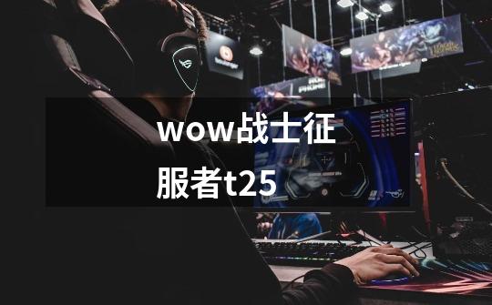 wow战士征服者t2.5-第1张-游戏资讯-智辉网络