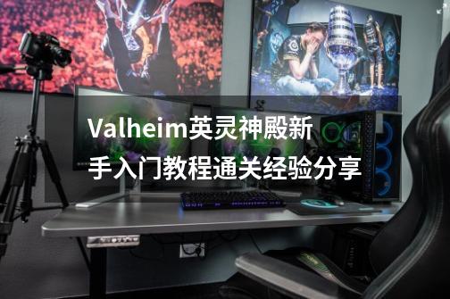 Valheim英灵神殿新手入门教程通关经验分享-第1张-游戏资讯-智辉网络