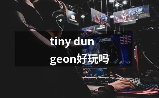 tiny dungeon好玩吗-第1张-游戏资讯-智辉网络