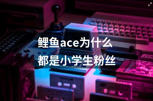 鲤鱼ace为什么都是小学生粉丝-第1张-游戏资讯-智辉网络