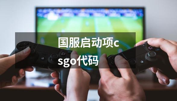 国服启动项csgo代码-第1张-游戏资讯-智辉网络